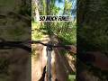 I love a good flow trail!