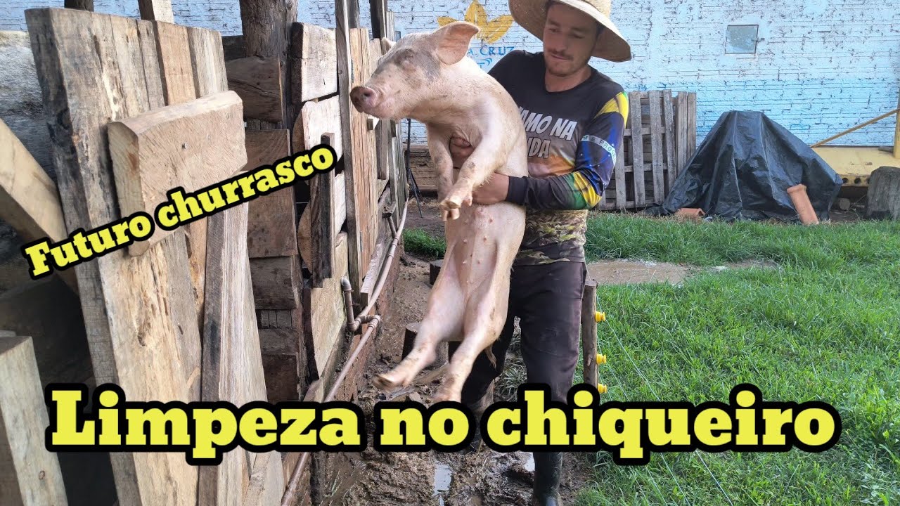 Limpeza no chiqueiro futuro churrasco garantido 