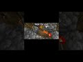 best door trap #minecraft #minecraftrealistic #minecrafthumor #minecraftmeme