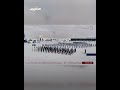 كلية الشرطة:  يمينُ علينا لهذا الوطن.. وعهُد سيبقى بقاء الزمن