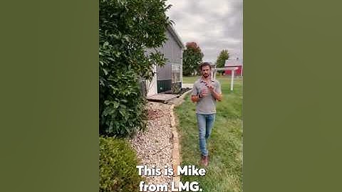 How to trim a magnolia, part 1!