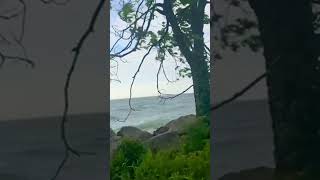 Middle Island Point Pelee National Park of Canada 🇨🇦 #shortsviral #canadabeauty #travel