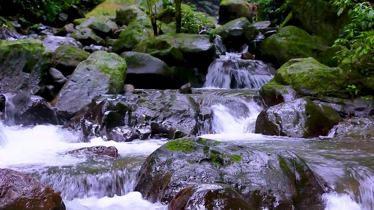 Gentle Flowing Mountain River Sounds to Relax the Body and Calm the Mind