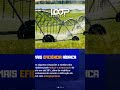 Soluções em energia para o Agro - consulte-nos para soluções sob medida para seu negócio e fazenda!