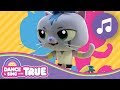 The kittynati song  dance and sing with true  true and the rainbow kingdom