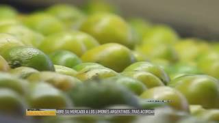 Argentina ya puede exportar limones a México