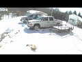 02 Morning Wildlife at P&J's Farm on 02/02/2026 πΎ