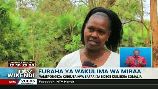 Furaha ya wakulima wa miraa kufuatia kukubaliwa uuzaji wa zao lao nchini Somalia