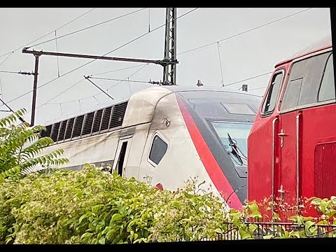 SNCF   TGV  in 63225 Langen