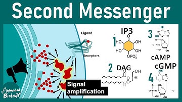 Second Messengers: The Key Players in Cell Communication | cell signaling lectures