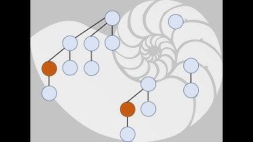 Amortized analysis of the Fibonacci heap