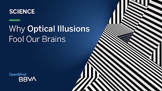 Why Optical Illusions Fool Our Brains | Science pills