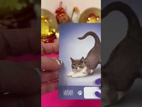 ❤️塔羅占卜-對方是如何看待這段感情？在他/她的心裡是怎麼想的？你/妳在對方的心裡是個什麼樣的存在？接下來會如何的發展？（不限關係都可以測） #占卜 #塔羅 #感情
