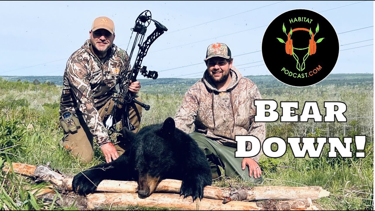 New Brunswick Canada Spring Black Bear Archery Hunt Habitat Podcast How