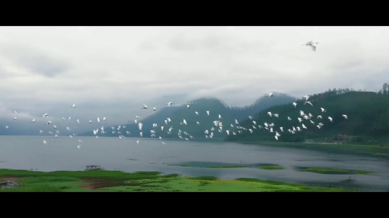 Gayo, Takengon Aceh tengah.. wisata dan budaya. 