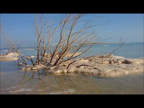 Стихотворение Как мало надо женщине