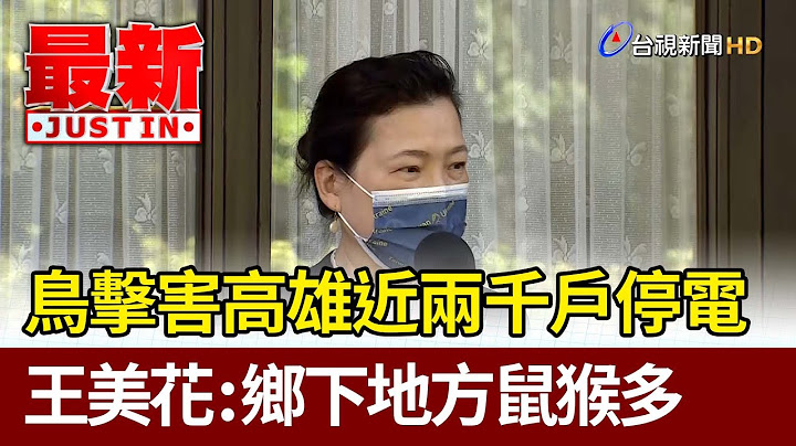 鳥擊害高雄近兩千戶停電  王美花：鄉下地方鼠猴多【最新快訊】