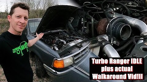 Turbo Ranger Idle and Walkaround