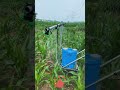 Farming Hack! Walk-Behind Sprayer for Effortless Crop Protection & Time Saving 🚜💨✨