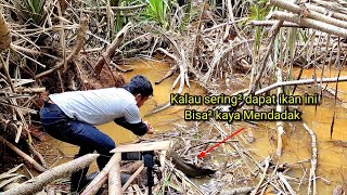 Mancing di sini kirain di Makan Toman Ternyata di Makan ikan Mahal