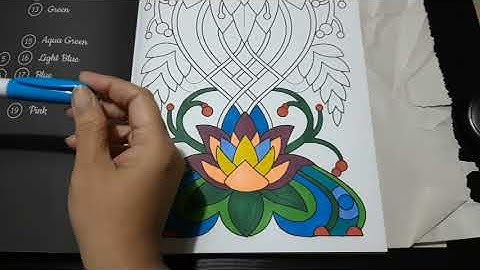 COMPLETE TESTING AND REVIEW OF AMAZON BASICS MARKERS - INDIAN COLOURIST