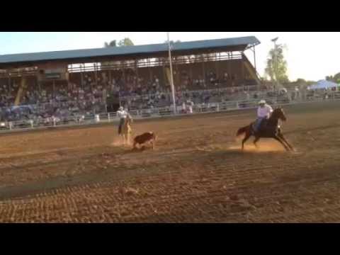 Videó: Spur Békák, Avagy Hogyan Felelevenítsük Az Akvárium életét? Karbantartás és Gondozás, Fotó