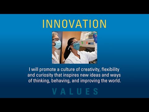 Zipos Innovation: Alyssa DAlessio's Role