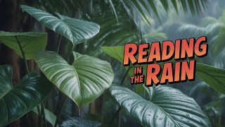 Rain on Palm & Tropical Leaves | Hujan di Daun Tropis (Focus/Reading Ambience) screenshot 4