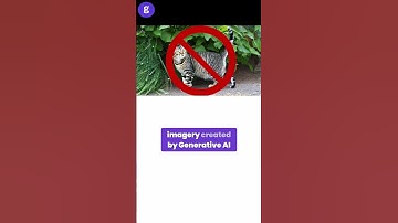 Earn money and work with us - Apply to become an iStock or Getty Images creative contributor.