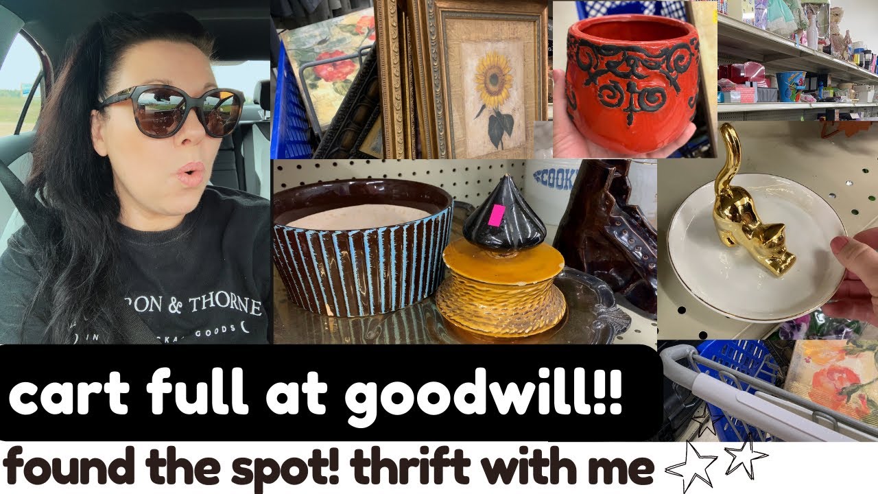 stay focused!! haven’t even gotten down there!! Goodwill Thrifting