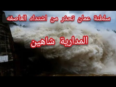 فيديو: إعصار السلطان: سيرة وإبداع وحياة مهنية وشخصية