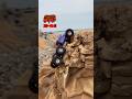 최대한 어렵게 주행하기 ㅎ 6x6 lcg #traxxas #trx6 #lcgcrawler #6x6lcg