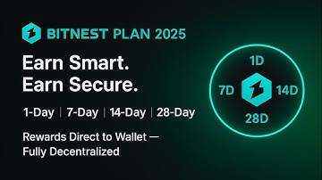 BitNest Circulation Presentation in HINDI #bitnest #bitnestloop #dao