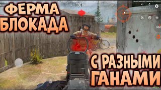 видео: ARENA BREAKOUT! ФЕРМА БЛОКАДА С РАЗНЫМИ ГАНАМИ! картинка: ARENA BREAKOUT! ФЕРМА БЛОКАДА С РАЗНЫМИ ГАНАМИ!