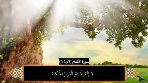 آياتٌ مختارةٌ مِنَ الذكرِ الحكيم رةُ الأنعام (الآية ٦ ) #هل_القرآن_الأبرار