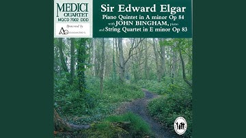 String Quartet in E Minor, Op. 83: I. Allegro moderato