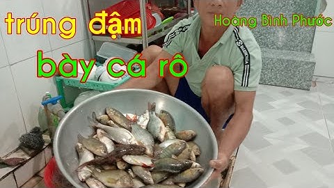 #6#giăng lưới trúng đậm bày cá rô  , mùa nước lũ