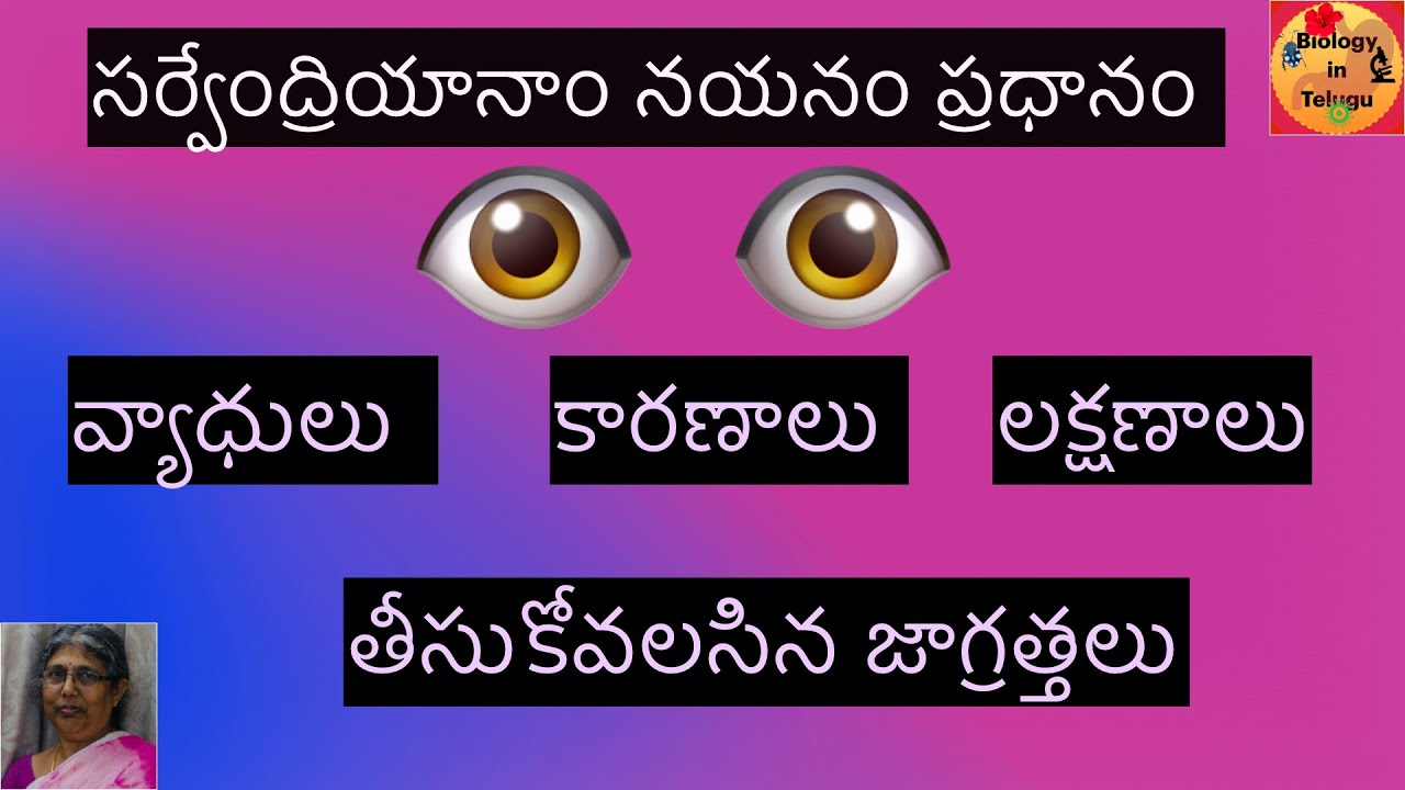 Eye protection and precautions in Telugu (for class 9)