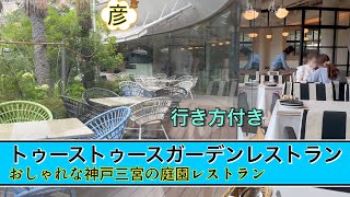 【神戸三宮】庭園レストラン【Tooth Tooth Garden Restaurant】でおしゃれに【ランチ】三ノ宮駅からの行き方教えます！【トゥーストゥース】Kobe, Japan