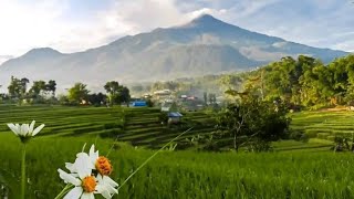 pop sunda lawas!! suasana kampung teruJuNg sekitaran waduk JatiLuhur puRwakarta.