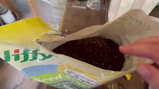 Honest Review of Jiffy Organic Seed Starter Mix