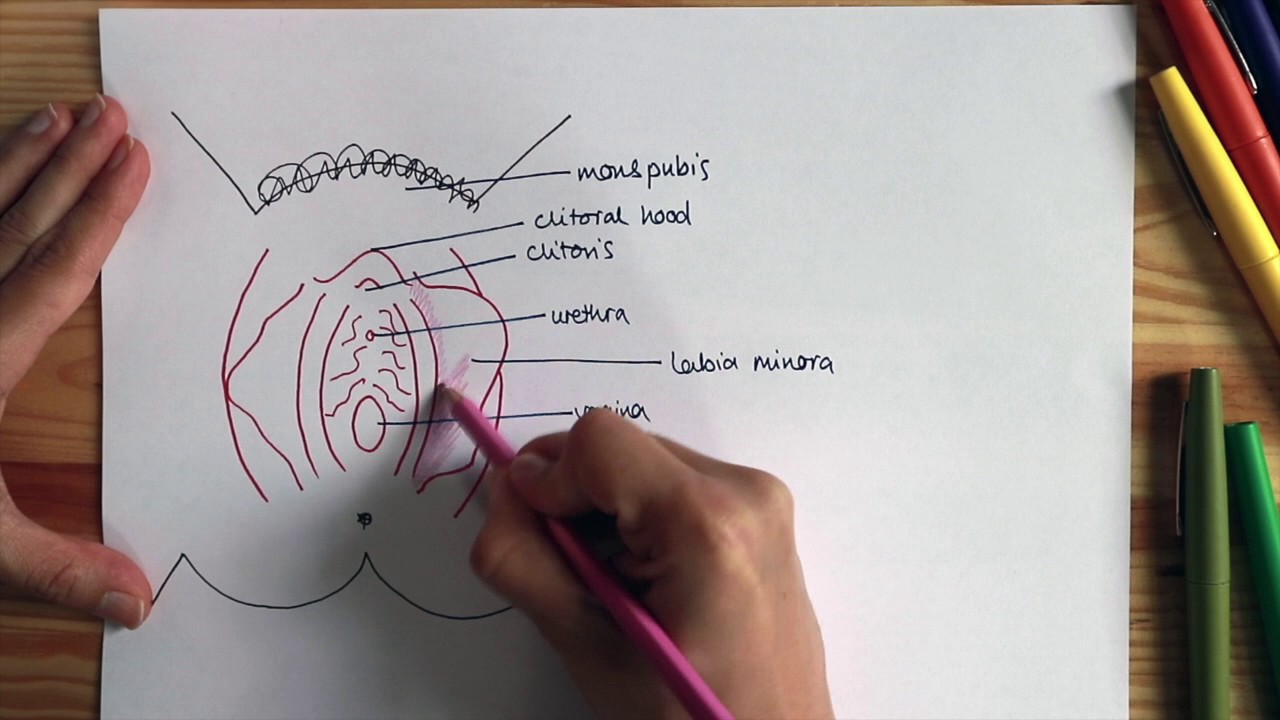 Labiaplasty fogyás után. Lefogy a labia