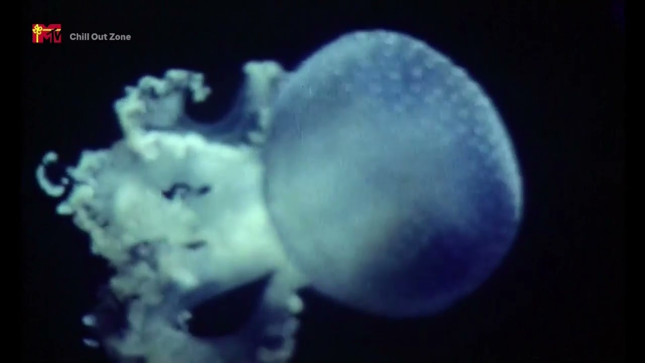 Beanfield - Planetary Deadlock (MTV GERMANY)