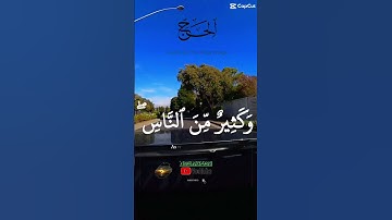 تلاوه جميله وهادئه تاخذك الئ عالم اخر
