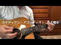 #カナディアンアコーデオン / 井上陽水
