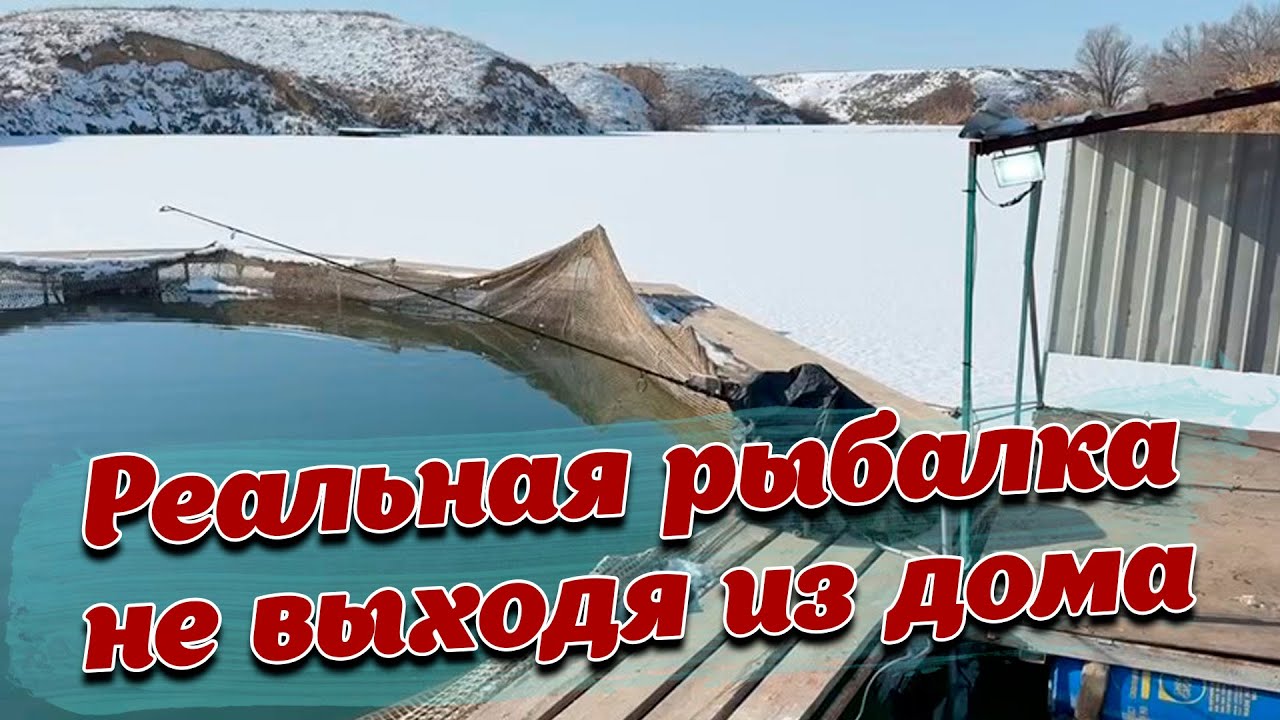 БЕЗ ЧЕШУИ - Реальная рыбалка в любой точке мира. GoFish. Казахстанский стартап.