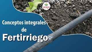 🔵 5 CONCEPTOS integrales de FERTIRRIEGO (pt.1)💧