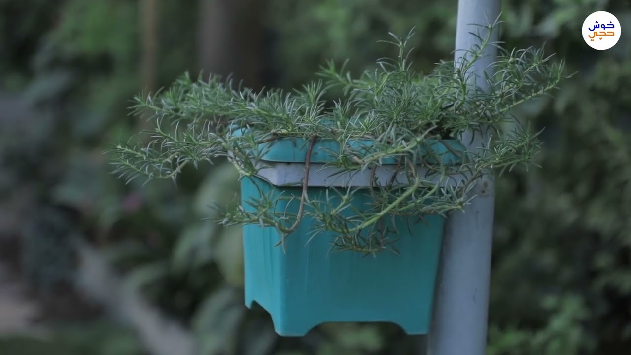 طالب العزاوي هاوي زراعة حول قطعة ارض من مكب للنفايات الى حديقة