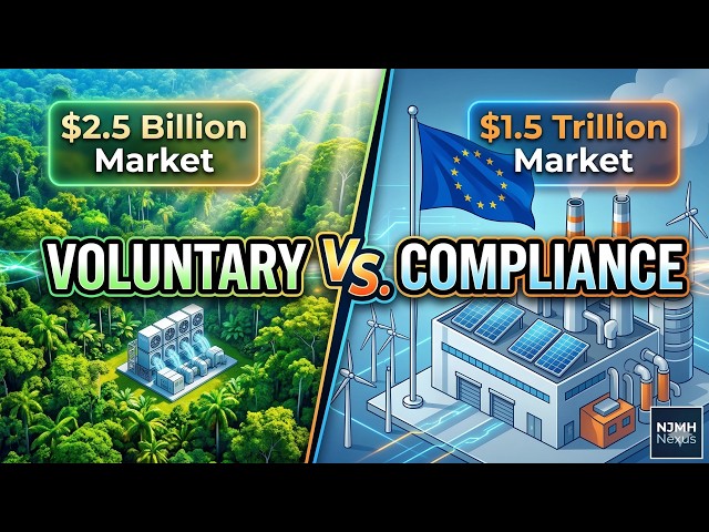 Carbon Markets Explained: Voluntary vs. Compliance Markets (Updated Guide) | NJMH Nexus