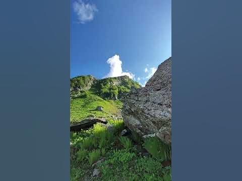 А вы видели чёрные тюльпаны? - YouTube
